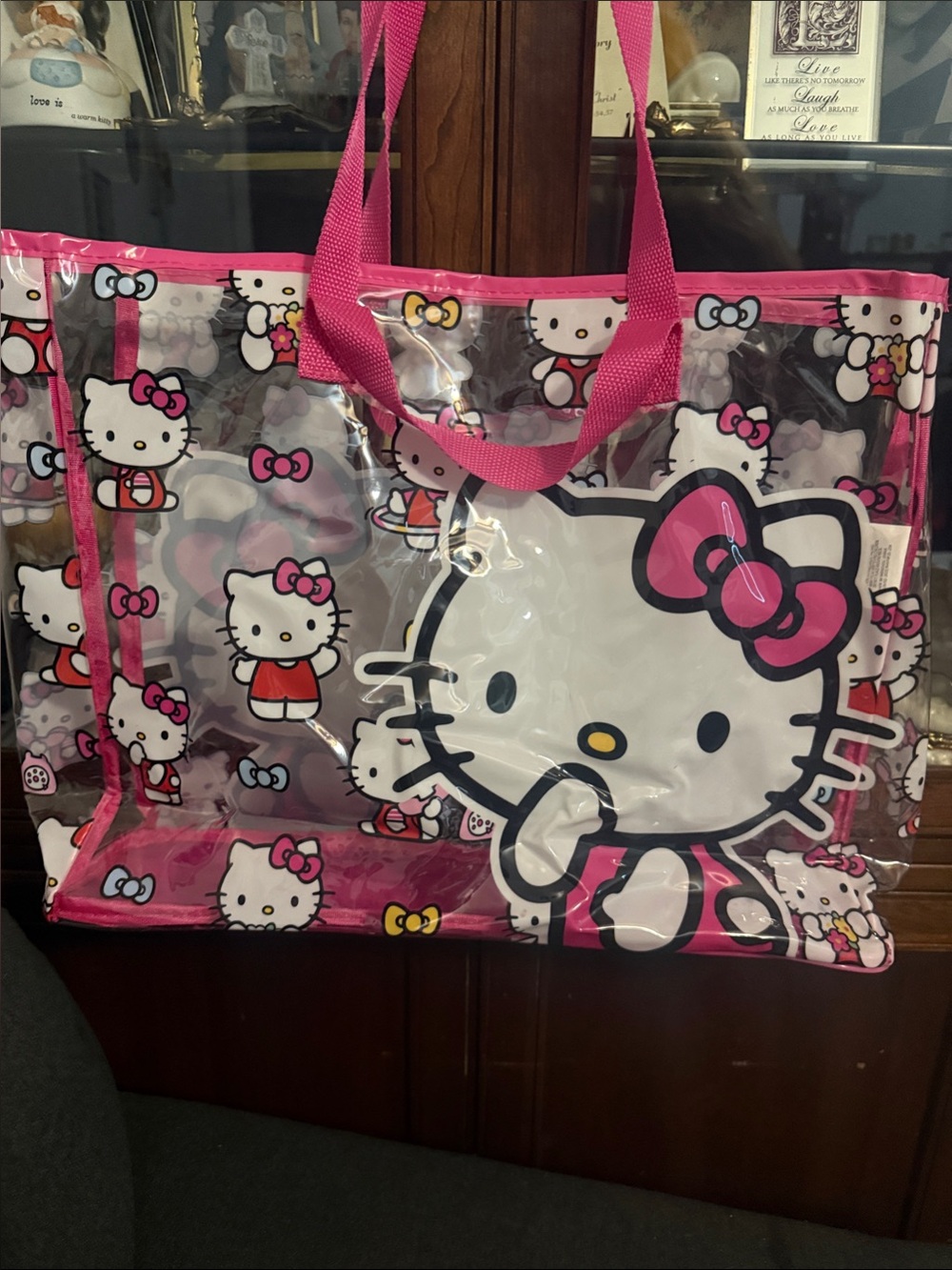 Hello Kitty Transparent Vinyl Tote with Bright Pink Trim